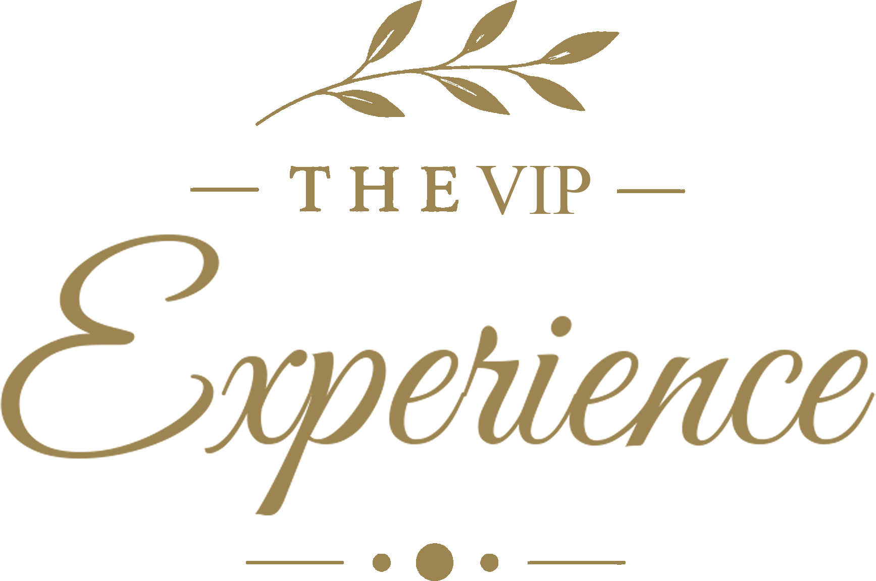 The VIP Experience